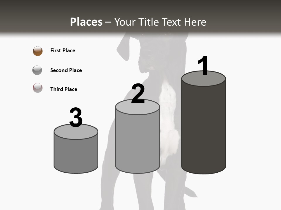 Great Dane In Front Of A White Background PowerPoint Template