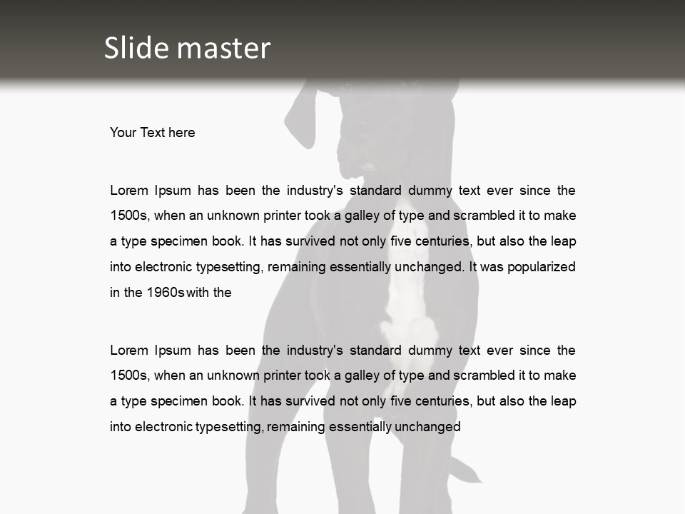 Great Dane In Front Of A White Background PowerPoint Template