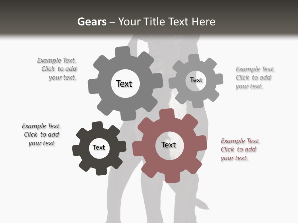 Great Dane In Front Of A White Background PowerPoint Template