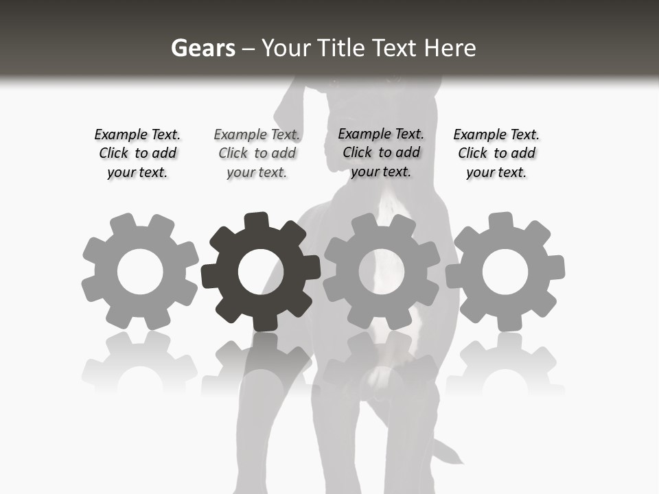 Great Dane In Front Of A White Background PowerPoint Template