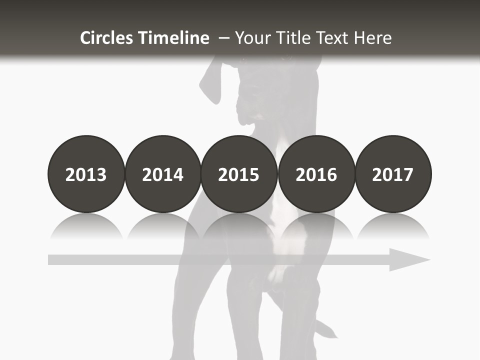 Great Dane In Front Of A White Background PowerPoint Template