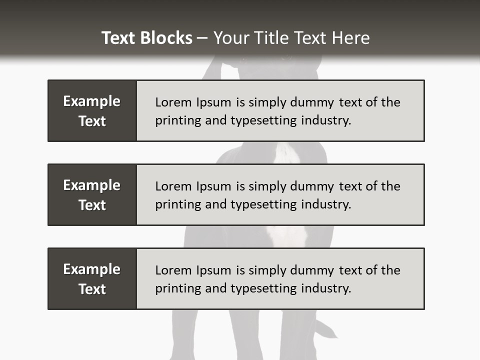 Great Dane In Front Of A White Background PowerPoint Template