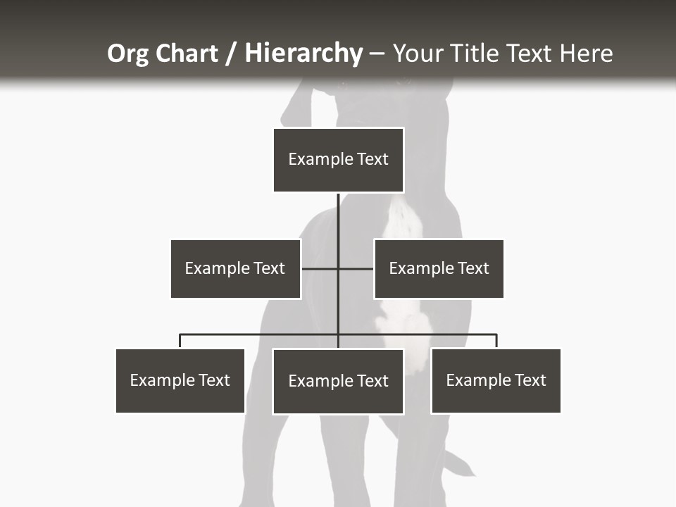 Great Dane In Front Of A White Background PowerPoint Template