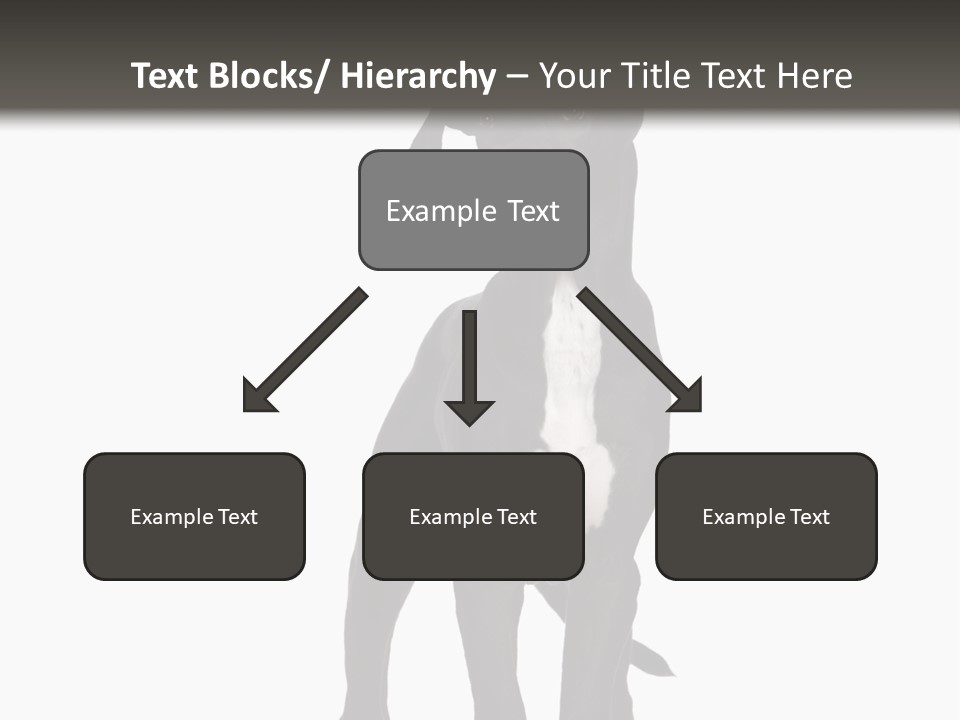 Great Dane In Front Of A White Background PowerPoint Template