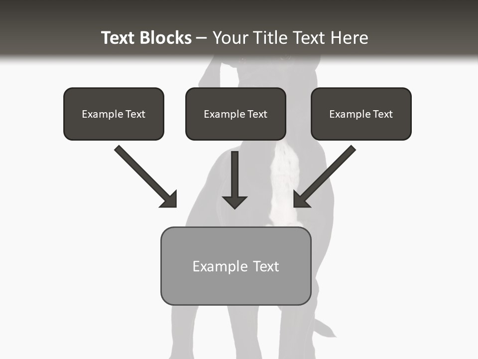 Great Dane In Front Of A White Background PowerPoint Template