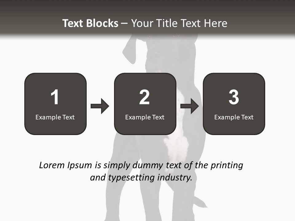 Great Dane In Front Of A White Background PowerPoint Template