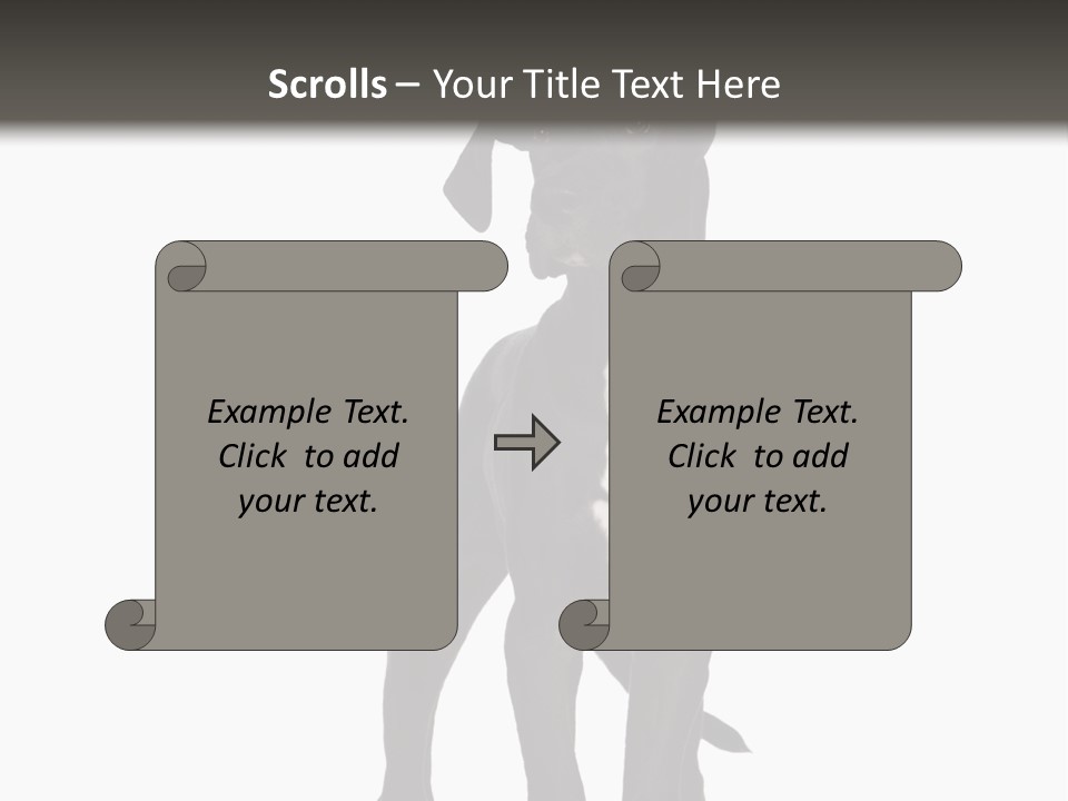 Great Dane In Front Of A White Background PowerPoint Template