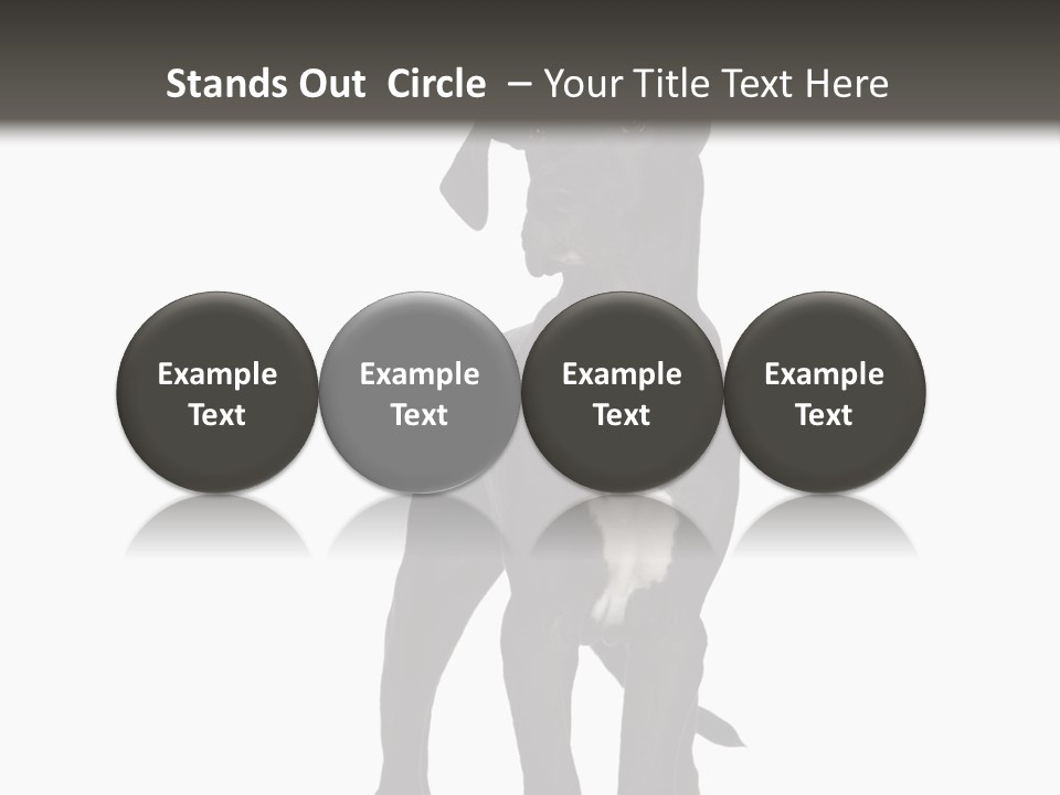 Great Dane In Front Of A White Background PowerPoint Template