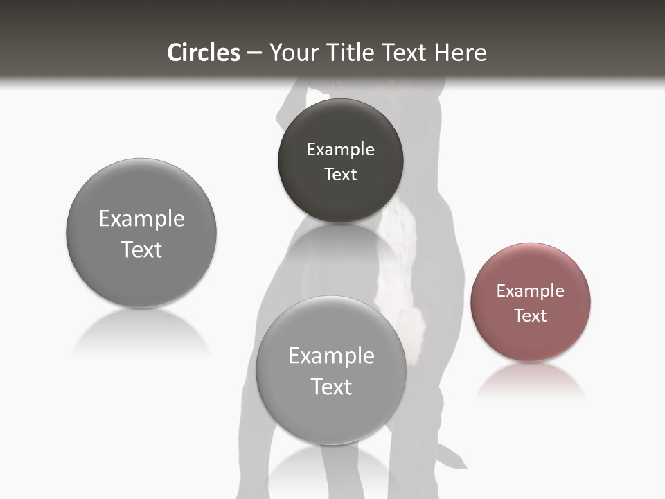 Great Dane In Front Of A White Background PowerPoint Template