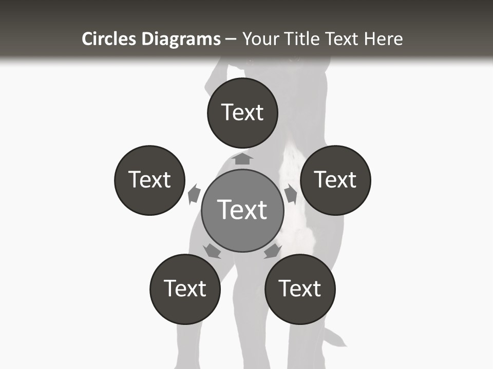 Great Dane In Front Of A White Background PowerPoint Template