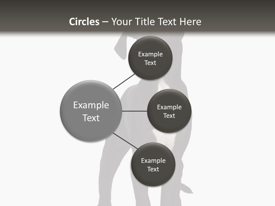 Great Dane In Front Of A White Background PowerPoint Template