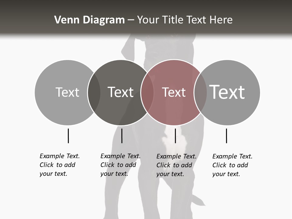 Great Dane In Front Of A White Background PowerPoint Template