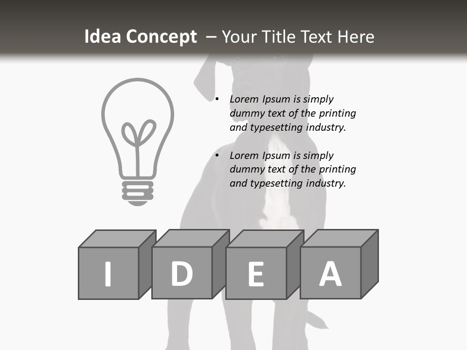 Great Dane In Front Of A White Background PowerPoint Template