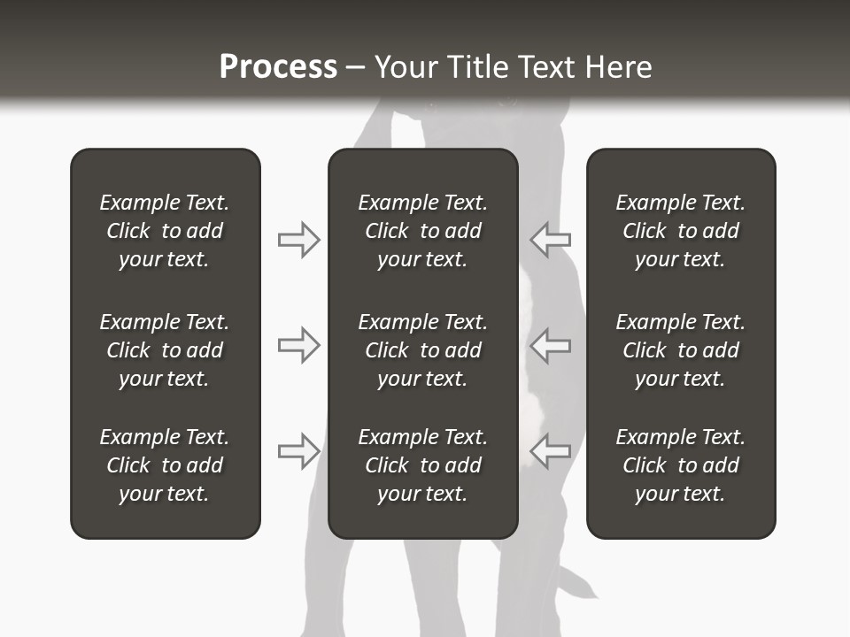 Great Dane In Front Of A White Background PowerPoint Template