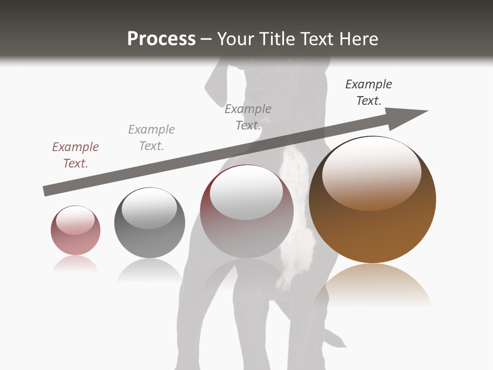 Great Dane In Front Of A White Background PowerPoint Template