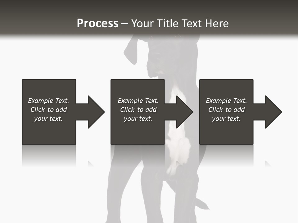 Great Dane In Front Of A White Background PowerPoint Template