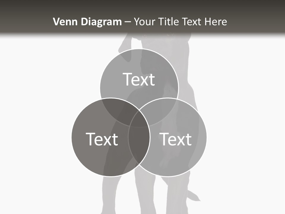 Great Dane In Front Of A White Background PowerPoint Template