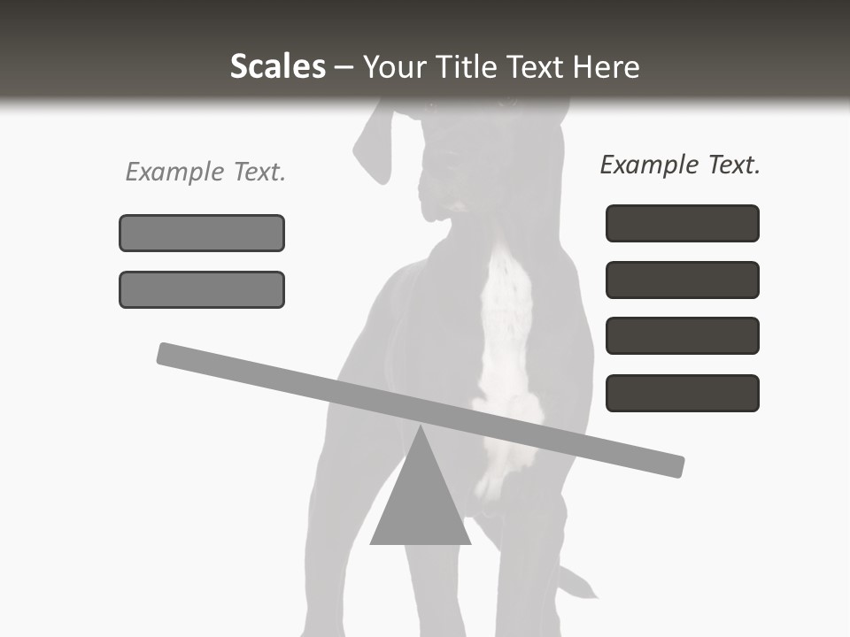 Great Dane In Front Of A White Background PowerPoint Template