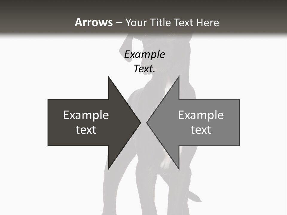 Great Dane In Front Of A White Background PowerPoint Template