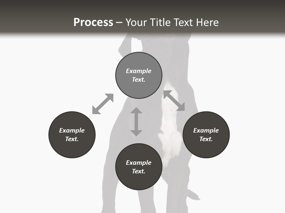 Great Dane In Front Of A White Background PowerPoint Template