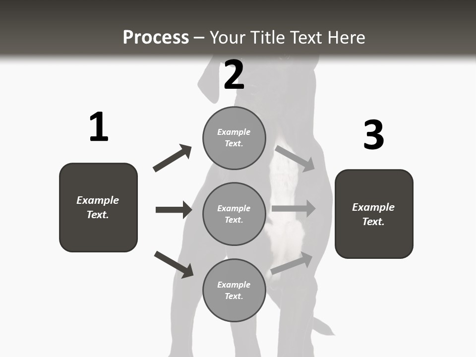 Great Dane In Front Of A White Background PowerPoint Template