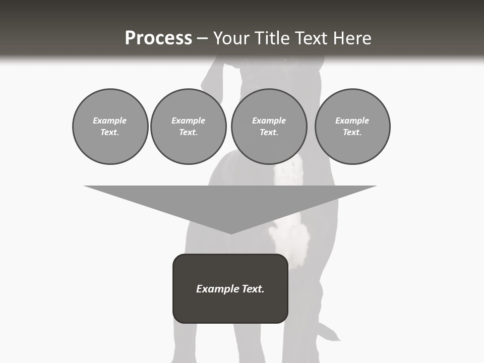 Great Dane In Front Of A White Background PowerPoint Template