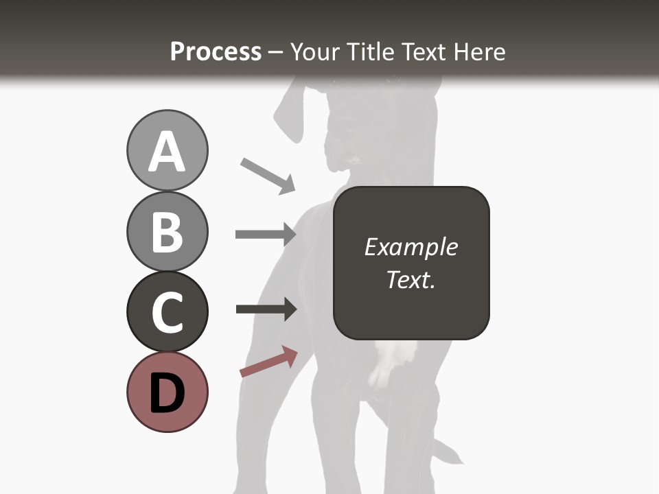 Great Dane In Front Of A White Background PowerPoint Template