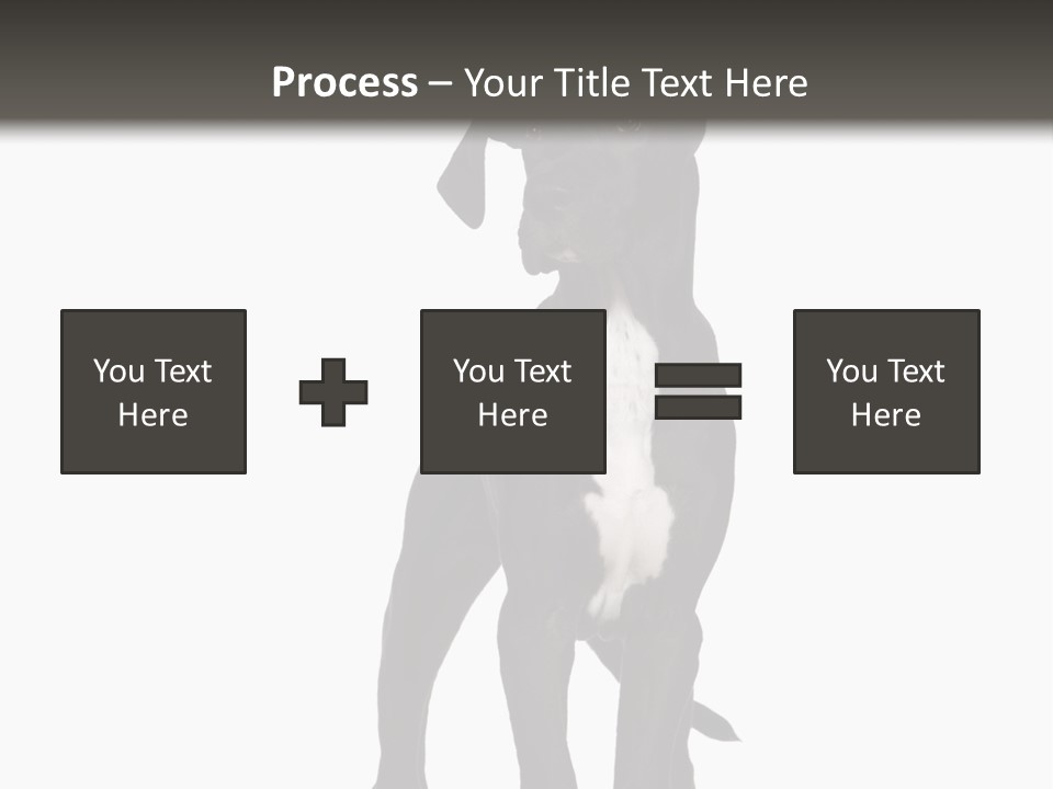 Great Dane In Front Of A White Background PowerPoint Template