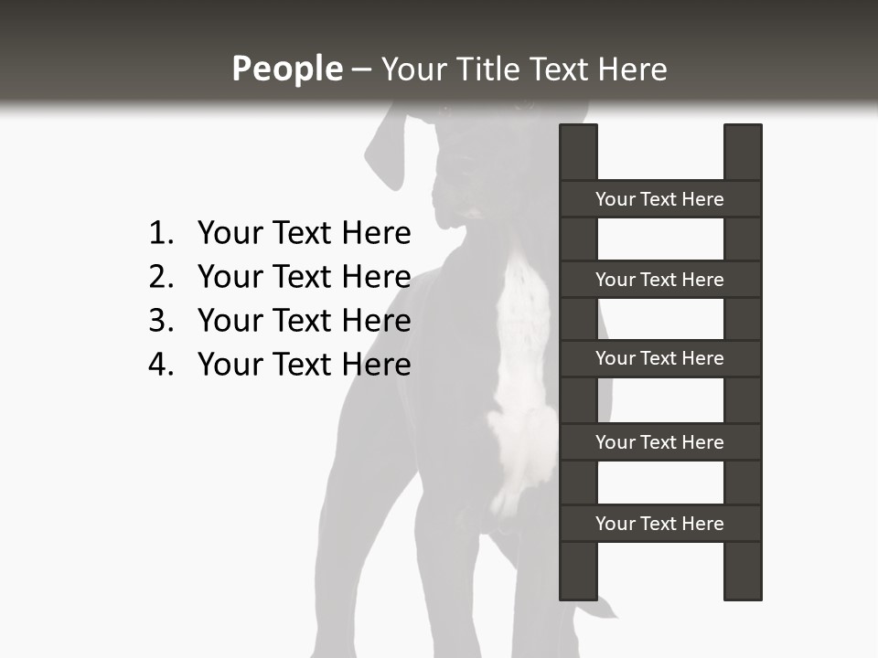 Great Dane In Front Of A White Background PowerPoint Template