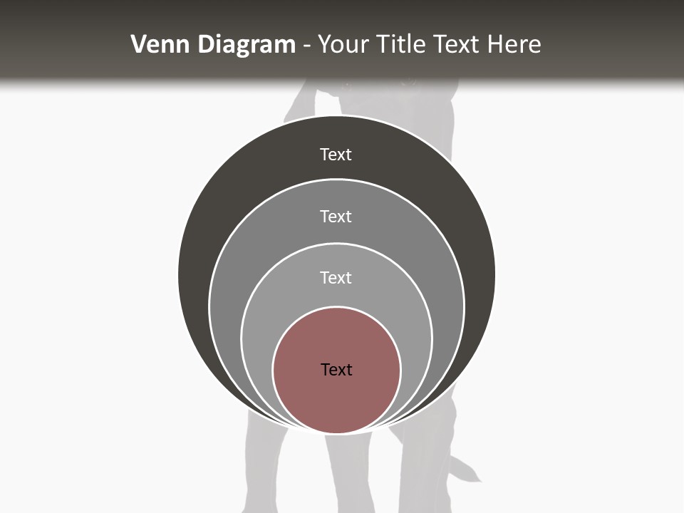 Great Dane In Front Of A White Background PowerPoint Template