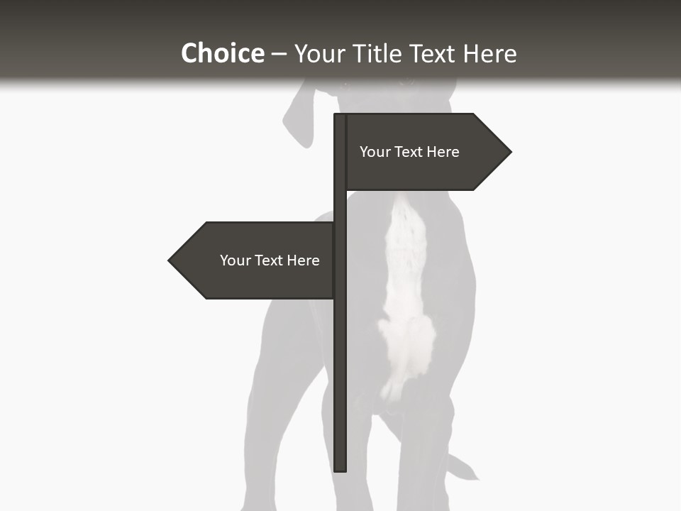 Great Dane In Front Of A White Background PowerPoint Template