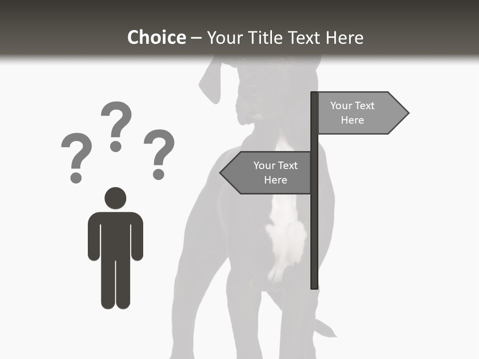 Great Dane In Front Of A White Background PowerPoint Template