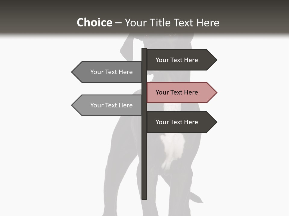 Great Dane In Front Of A White Background PowerPoint Template