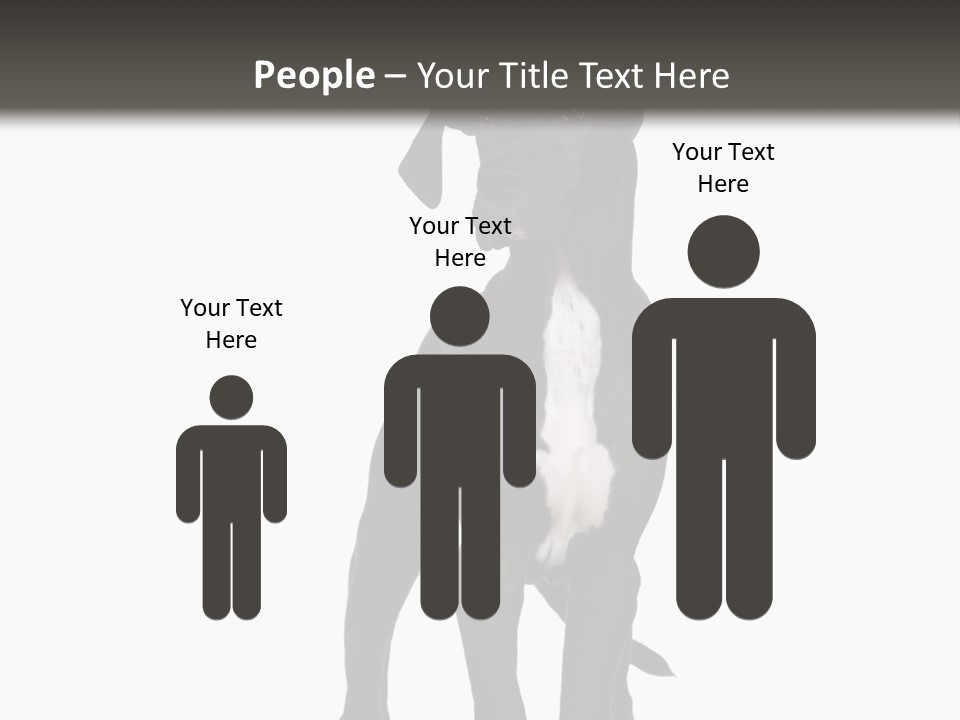 Great Dane In Front Of A White Background PowerPoint Template