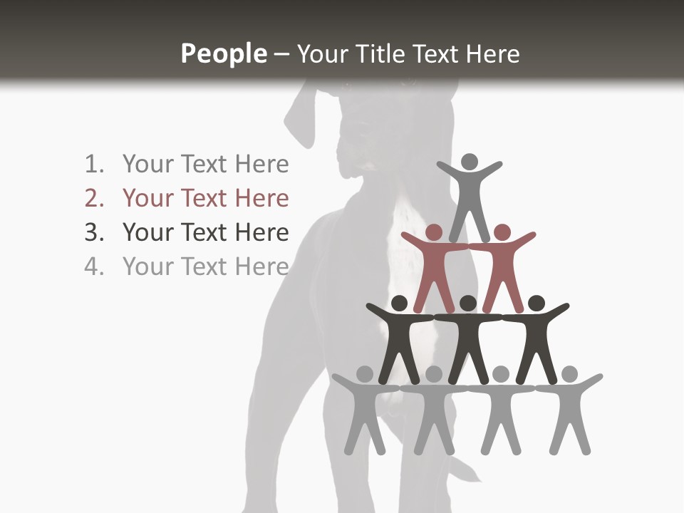 Great Dane In Front Of A White Background PowerPoint Template