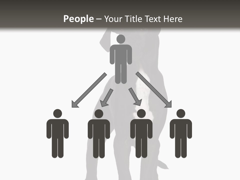 Great Dane In Front Of A White Background PowerPoint Template