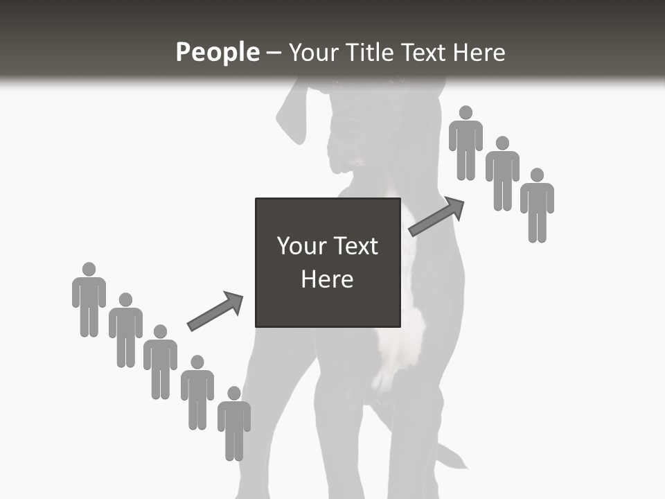 Great Dane In Front Of A White Background PowerPoint Template