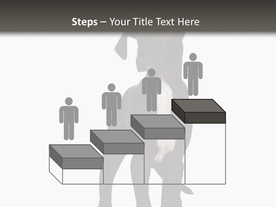 Great Dane In Front Of A White Background PowerPoint Template