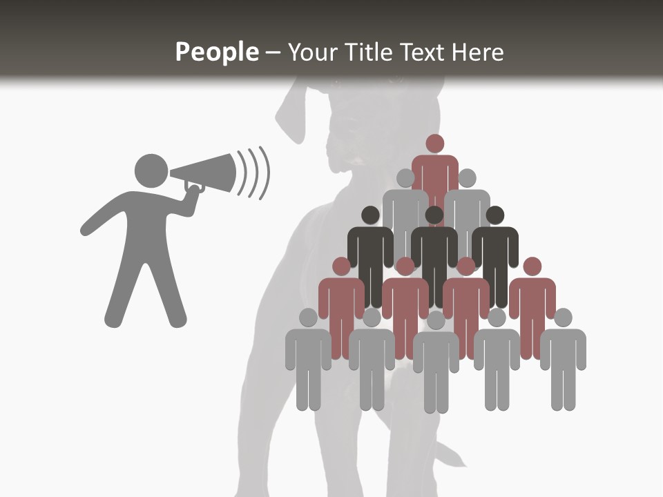 Great Dane In Front Of A White Background PowerPoint Template