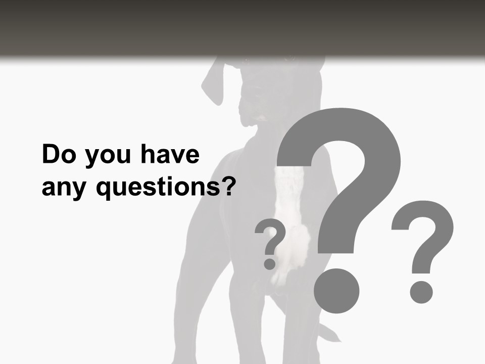 Great Dane In Front Of A White Background PowerPoint Template