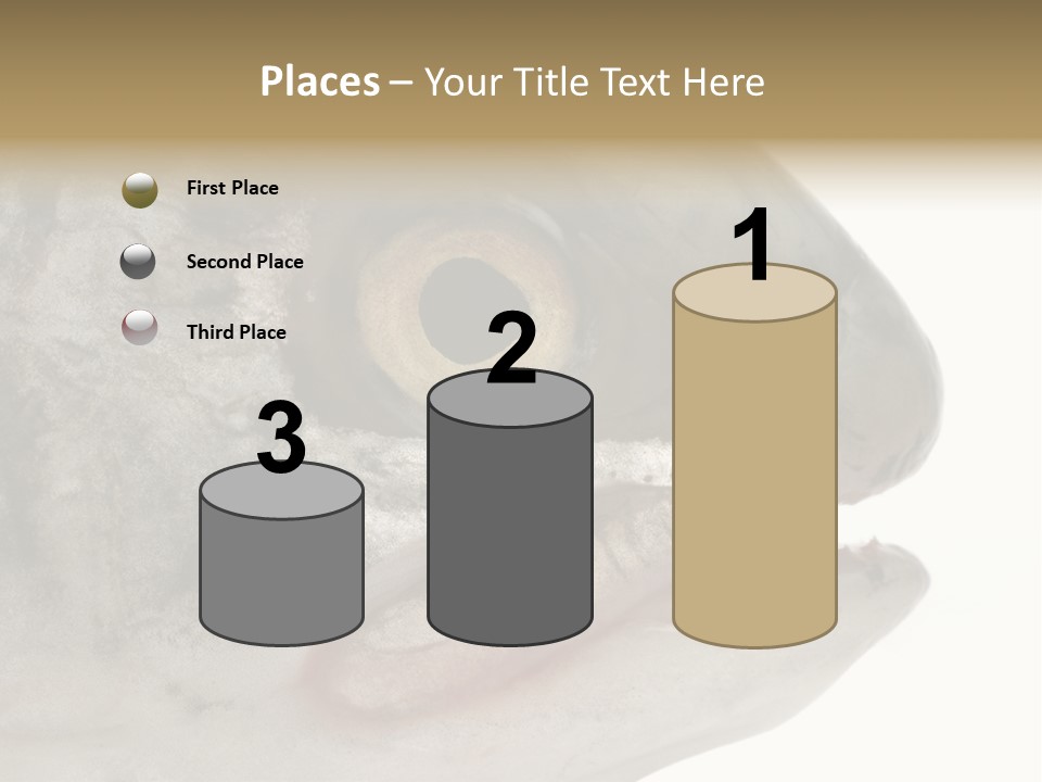 Real Macro Of Fish Head Isolated On White PowerPoint Template