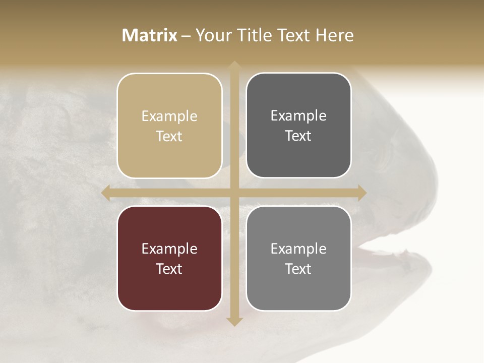 Real Macro Of Fish Head Isolated On White PowerPoint Template