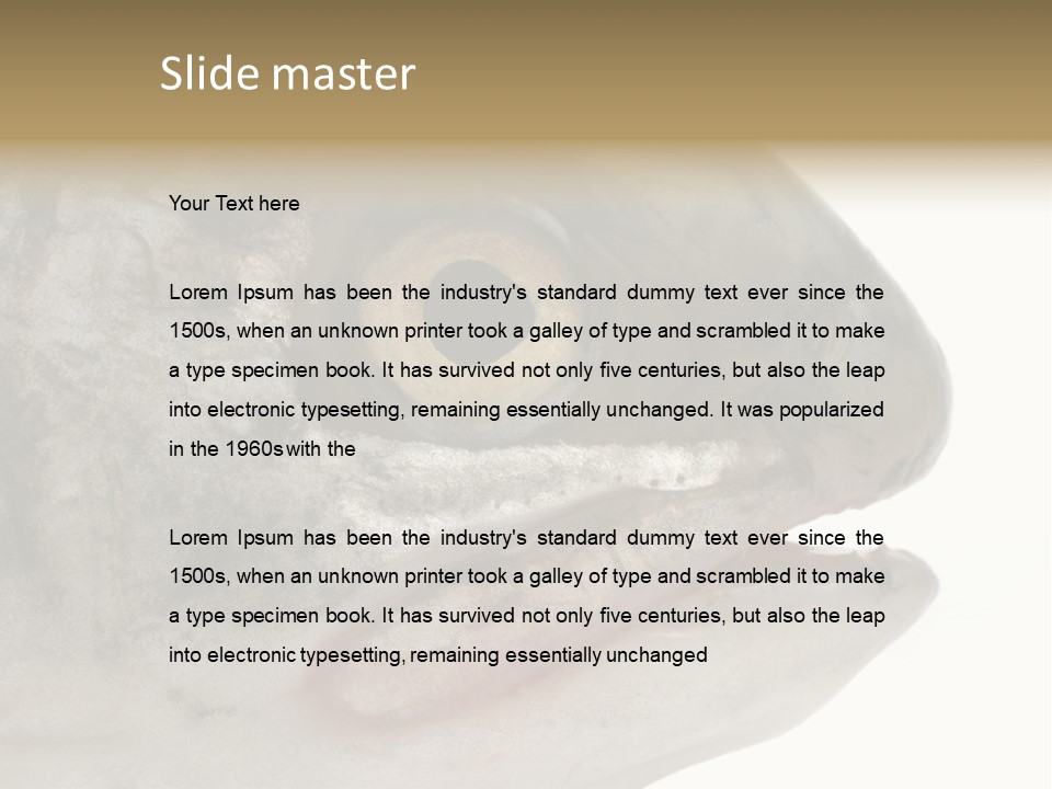 Real Macro Of Fish Head Isolated On White PowerPoint Template