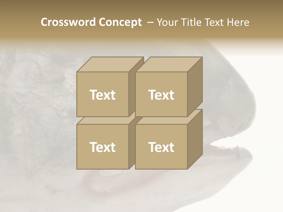 Real Macro Of Fish Head Isolated On White PowerPoint Template