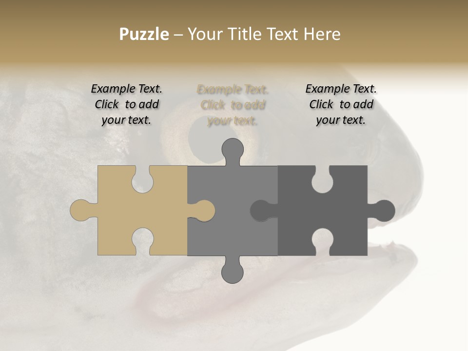 Real Macro Of Fish Head Isolated On White PowerPoint Template