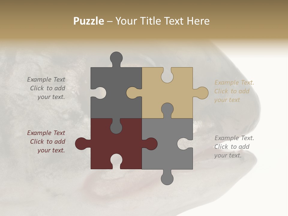 Real Macro Of Fish Head Isolated On White PowerPoint Template