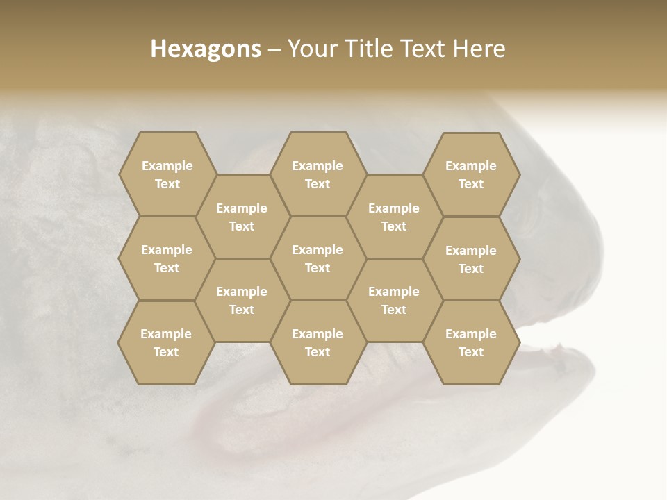 Real Macro Of Fish Head Isolated On White PowerPoint Template