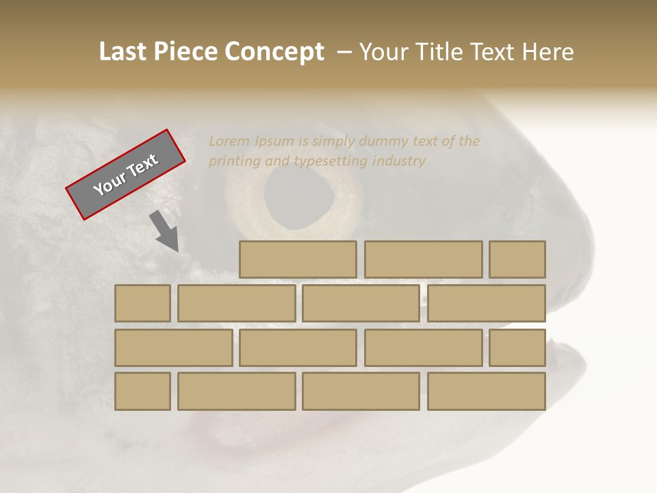 Real Macro Of Fish Head Isolated On White PowerPoint Template