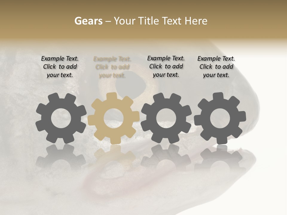 Real Macro Of Fish Head Isolated On White PowerPoint Template