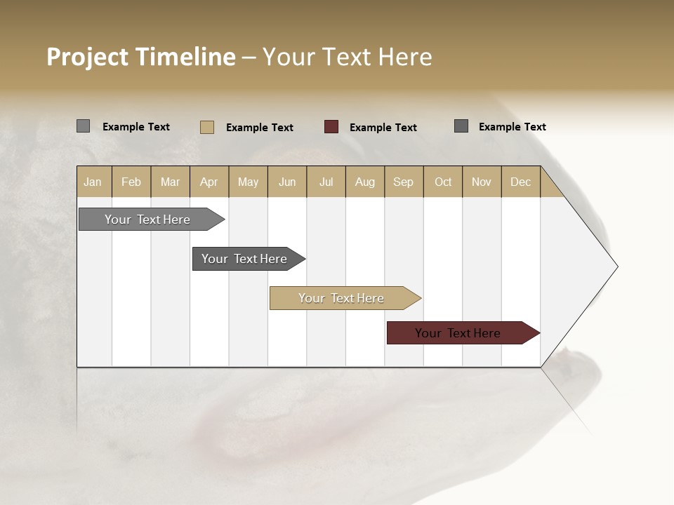 Real Macro Of Fish Head Isolated On White PowerPoint Template